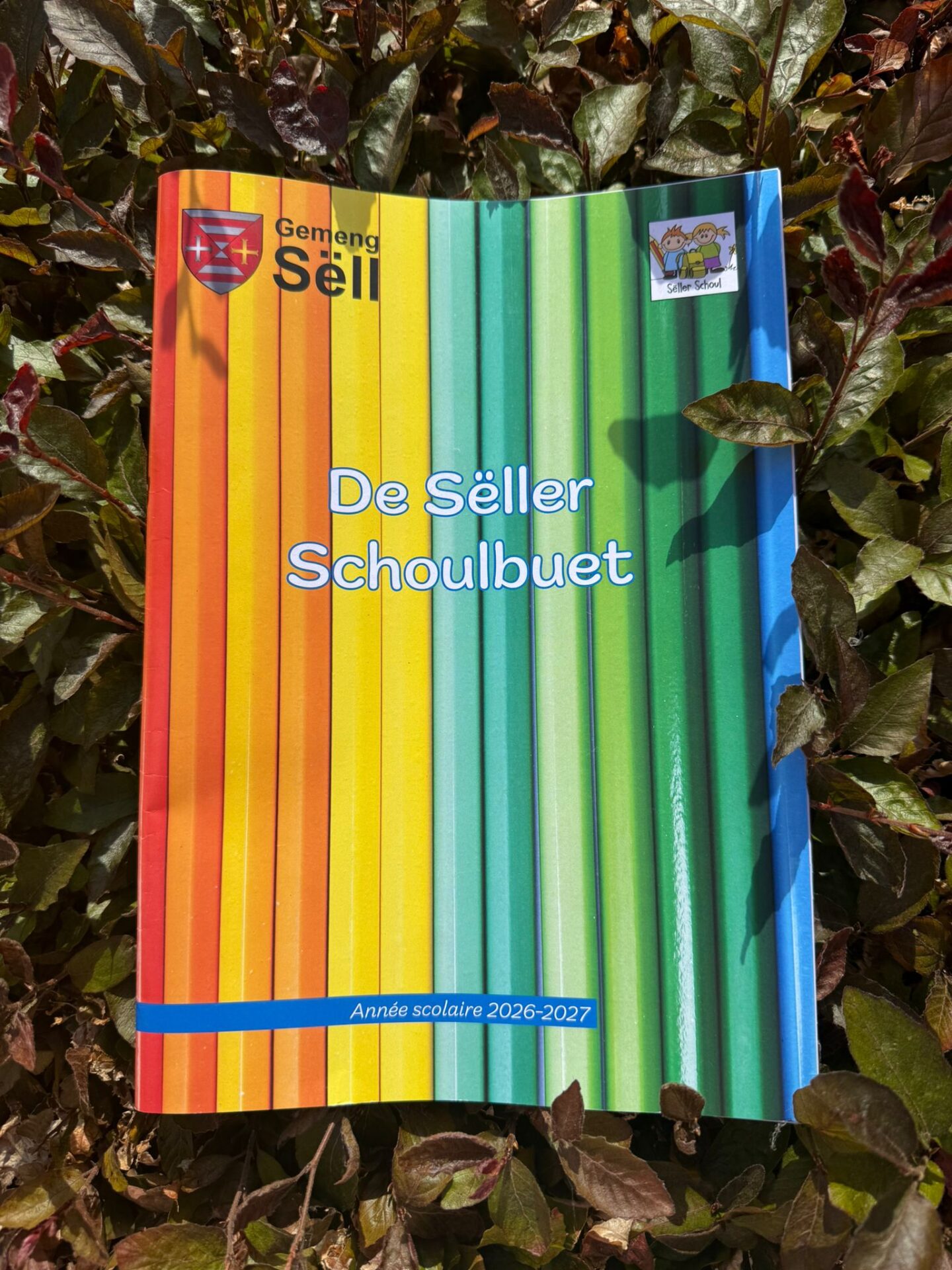 Bulletin scolaire | Schoulbuet 2026-2027